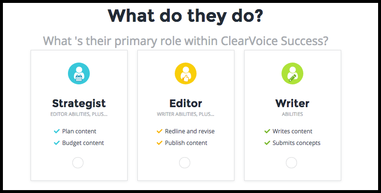 ClearVoice user roles and responsibilities